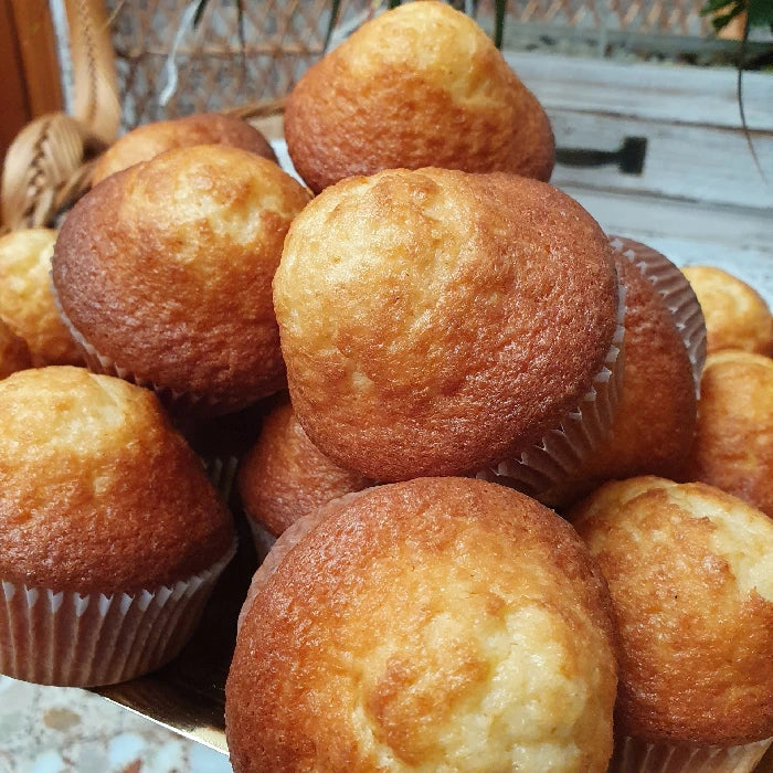 Magdalena sin azucar Abuela FELIX 2.75kg