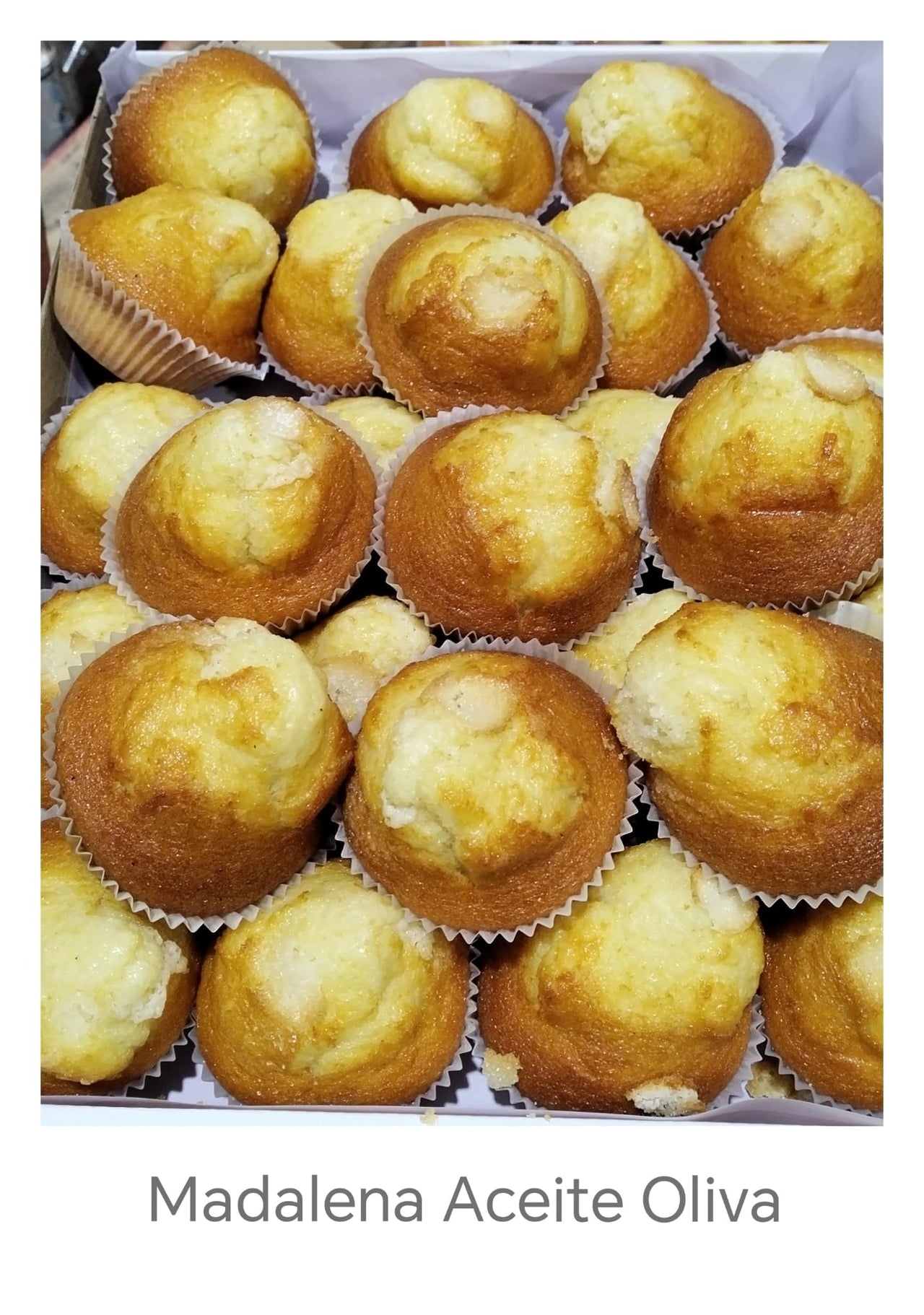 MAGDALENA ACEITE OLIVA GALINDO GRANEL