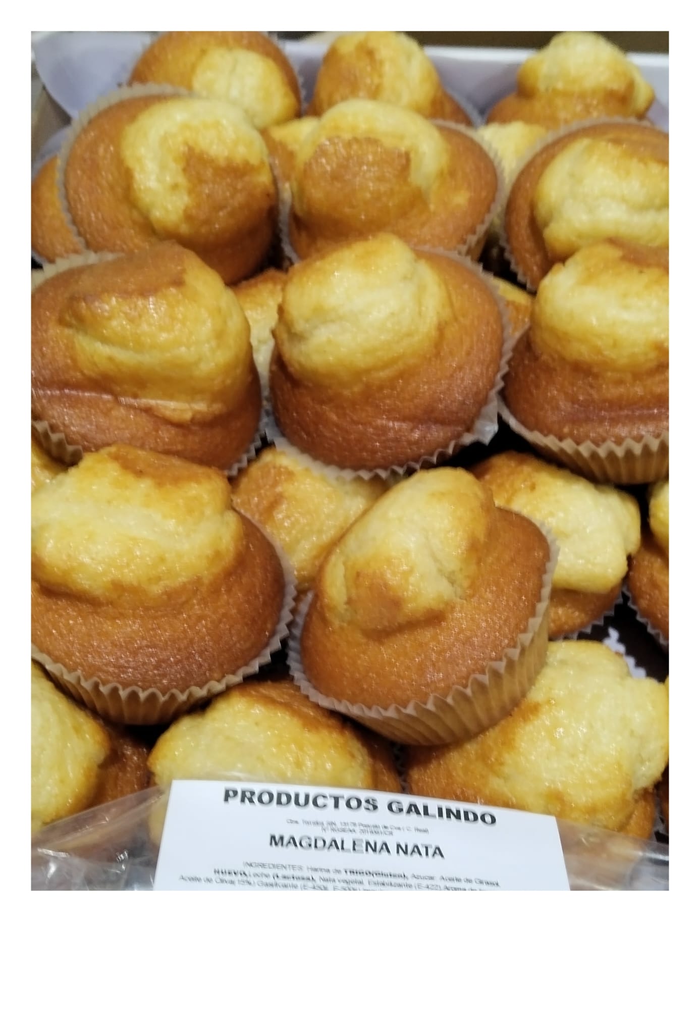 MAGDALENA NATA GALINDO 2.5KG