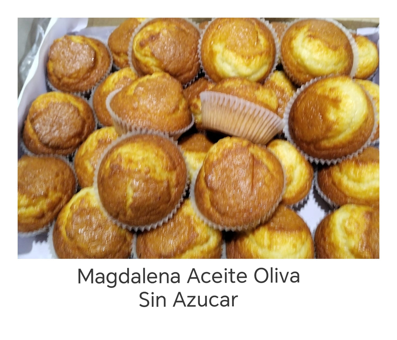 MAGDALENA ACEITE OLIVA S/A GALINDO